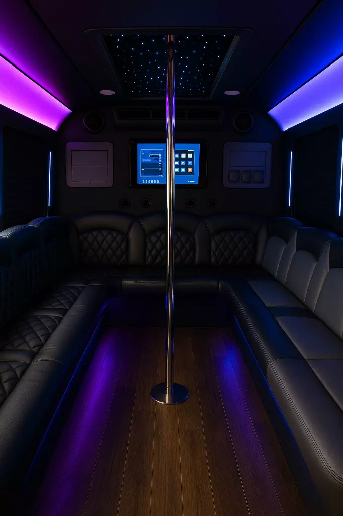 18 Passenger Party Bus interior