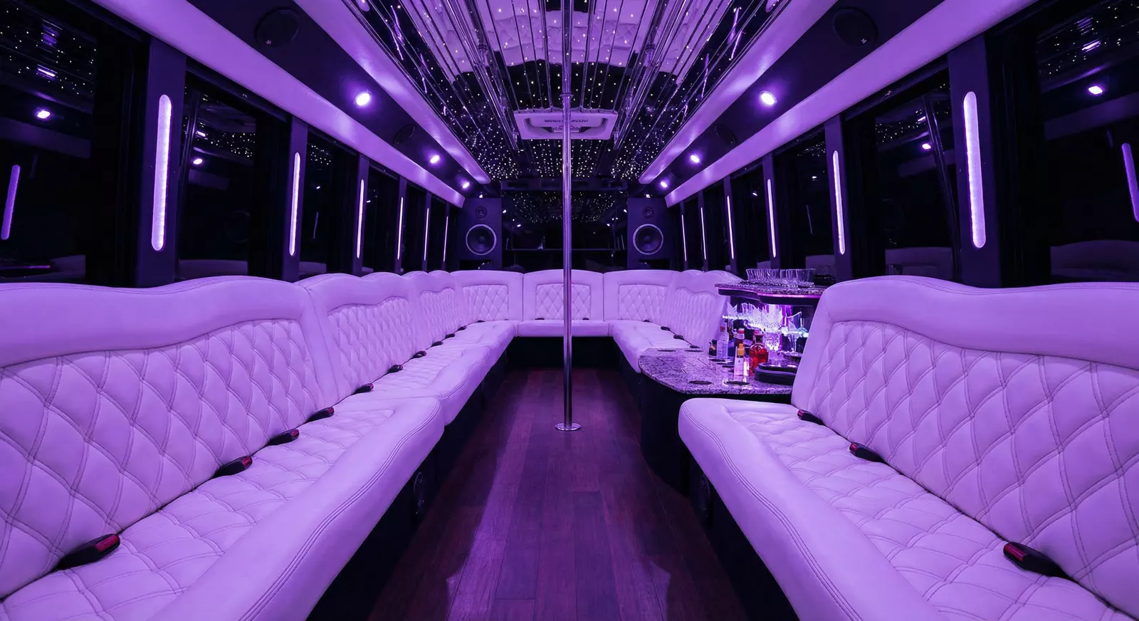 38 Passenger Party Bus interior — Denver Party Ride fleet (36–38 passengers)