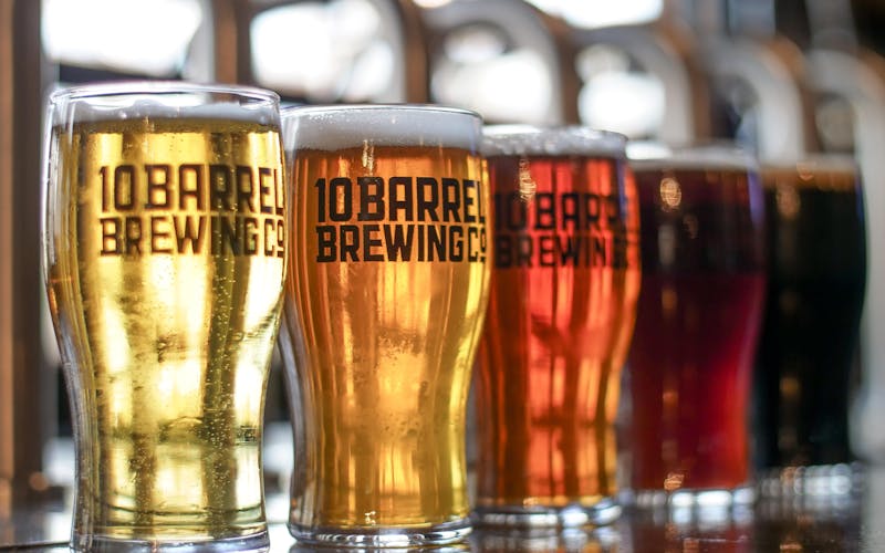 Denver brewery tasting stop for a group outing